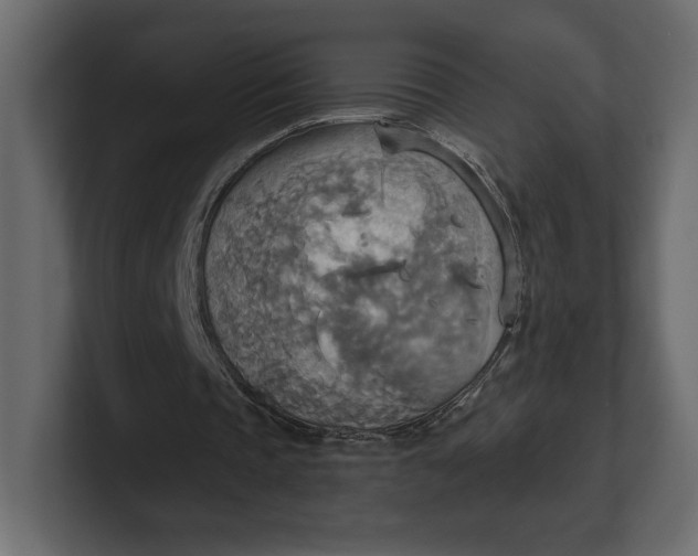 X0000100470337200806271146