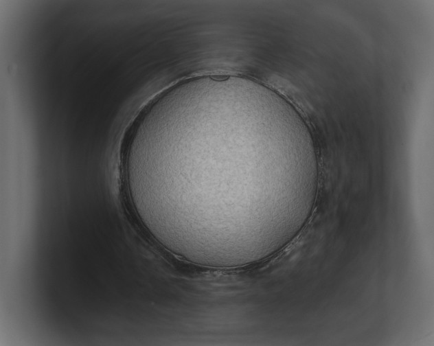 X0000100470338200806271146