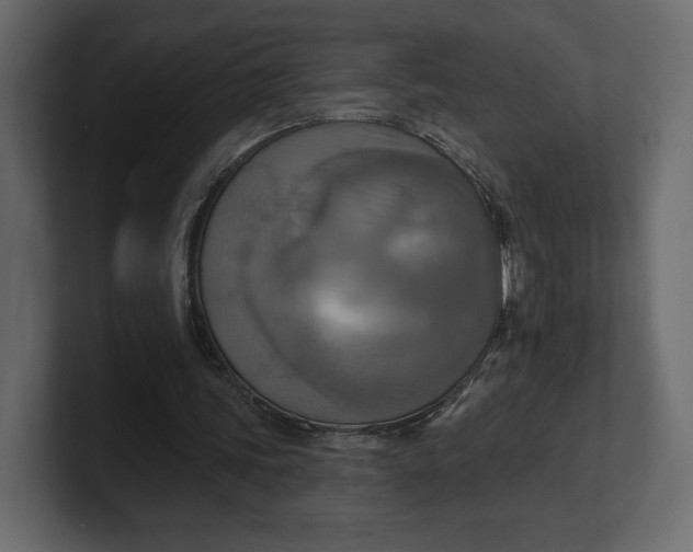 X0000100470339200806271146