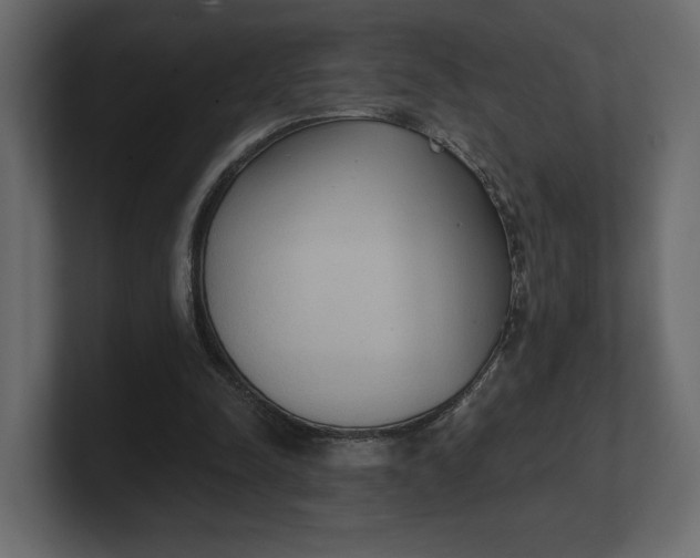 X0000100470342200806271146