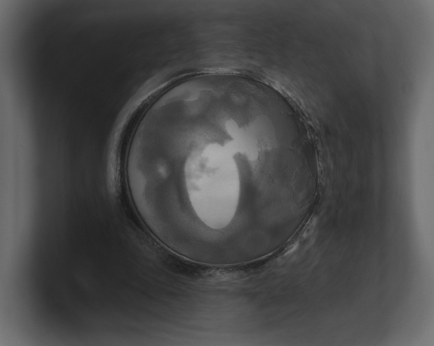 X0000100470343200806271146