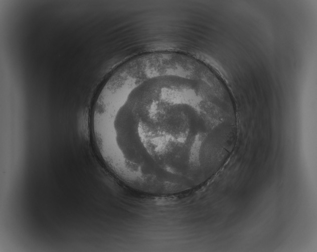 X0000100470345200806271146