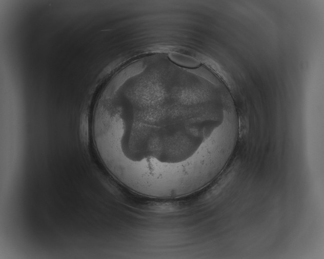 X0000100470349200806271146