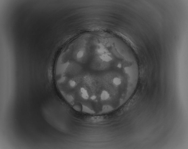 X0000100470353200806271146