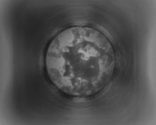 X0000100470354200806271146