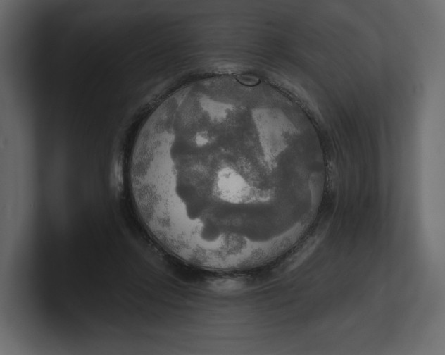 X0000100470358200806271146