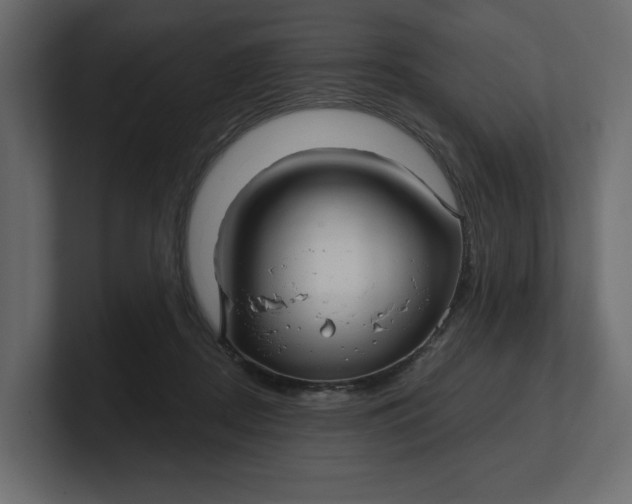 X0000100470362200806271146