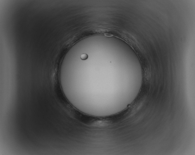 X0000100470364200806271146