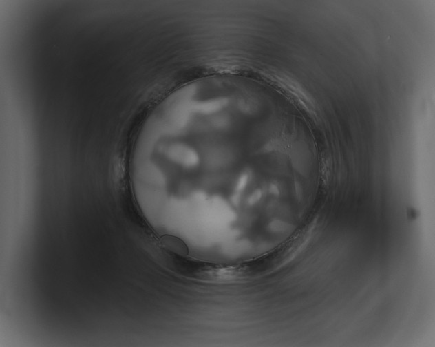 X0000100470365200806271146