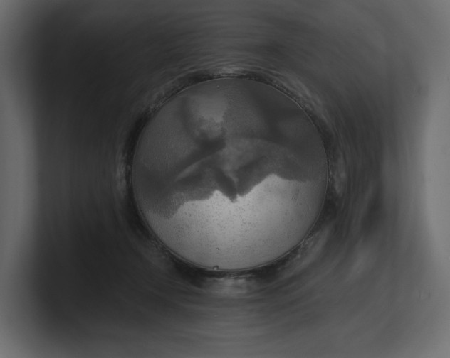 X0000100470366200806271146