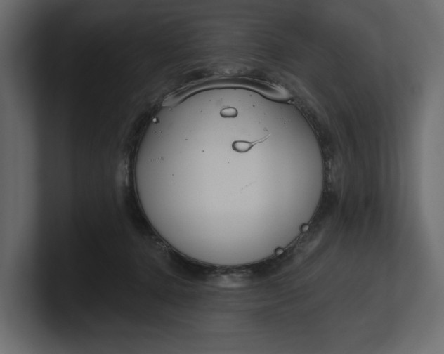 X0000100470368200806271146