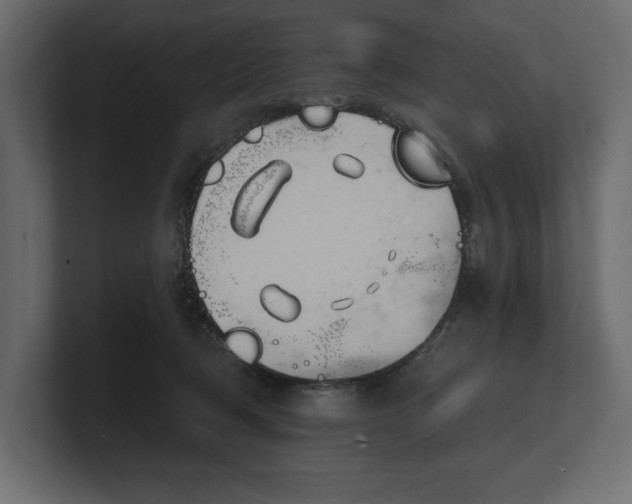 X0000100470370200806271146