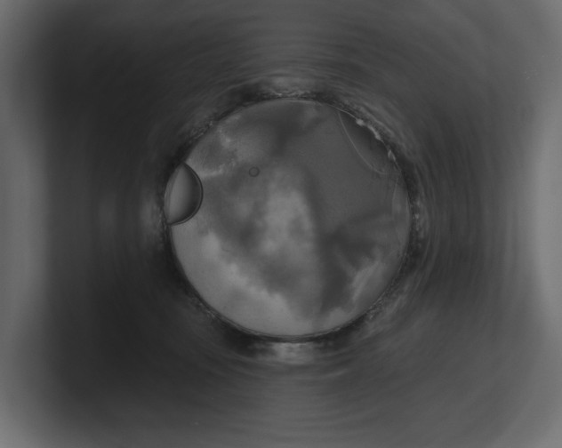 X0000100470371200806271146