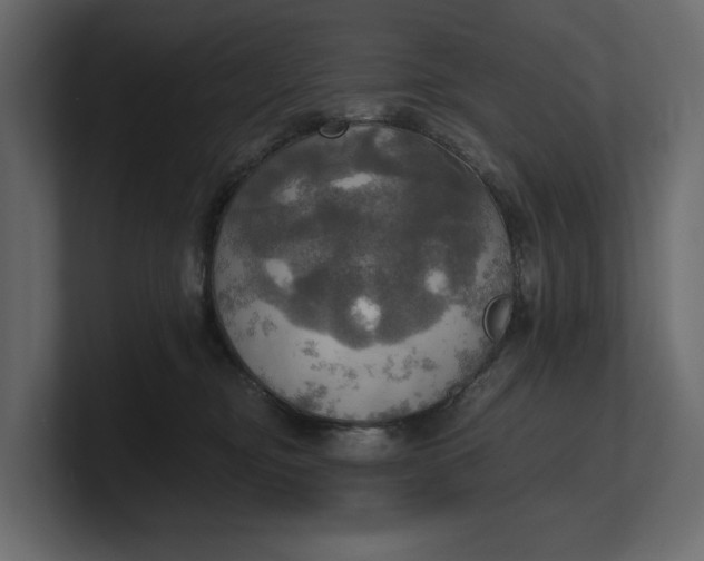 X0000100470374200806271146