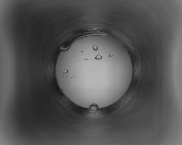 X0000100470376200806271146