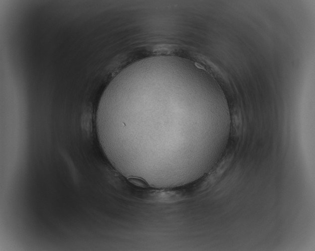 X0000100470379200806271146