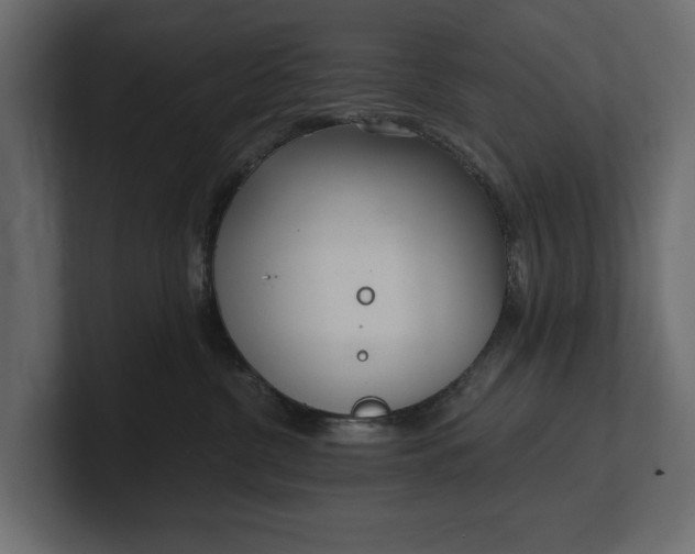 X0000100470380200806271146