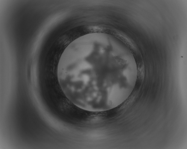 X0000100470381200806271146