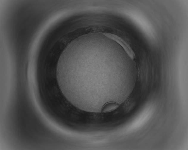 X0000100470383200806271146