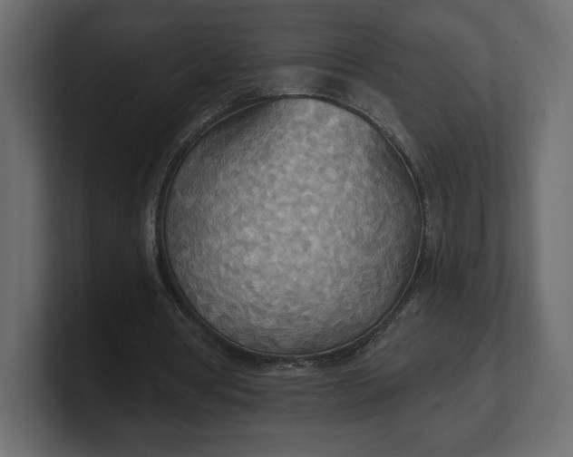 X0000100470386200806271146