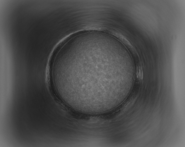 X0000100470388200806271146