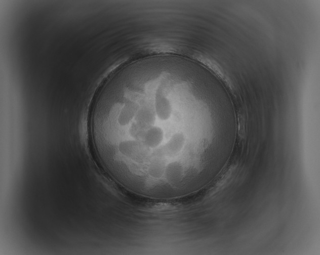 X0000100470390200806271146