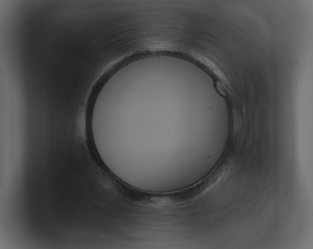 X0000100470391200806271146