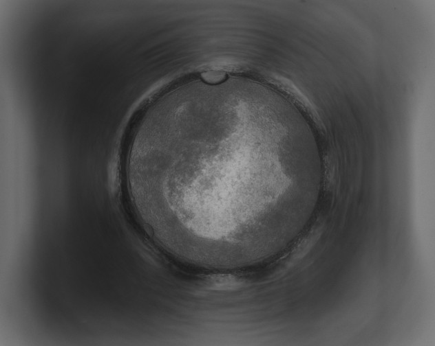 X0000100470392200806271146