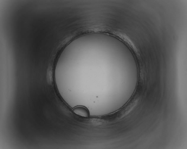 X0000100470393200806271146