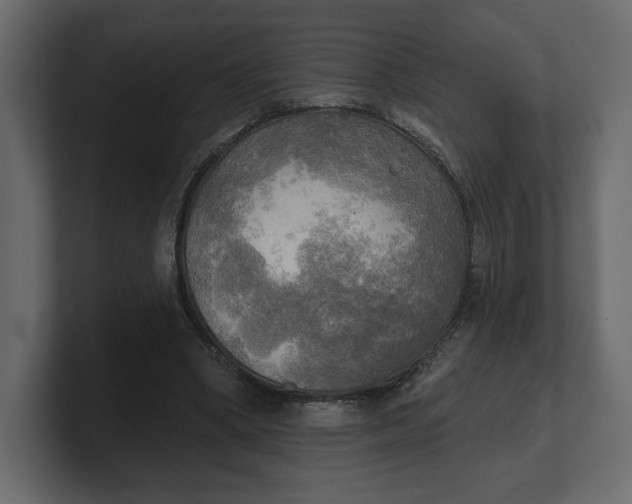 X0000100470394200806271146