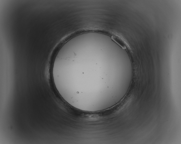 X0000100470395200806271146