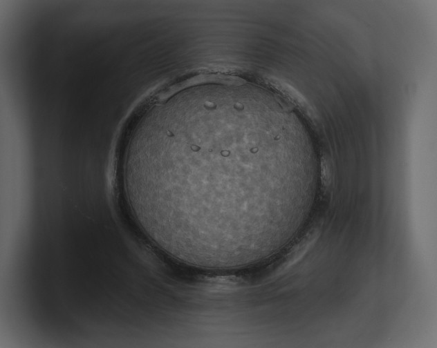 X0000100470396200806271146