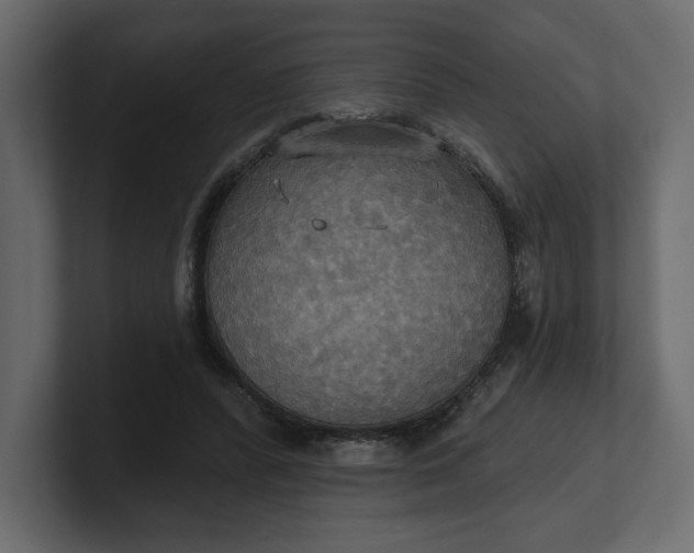 X0000100470400200806271146