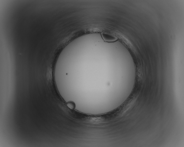 X0000100470401200806271146