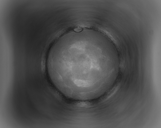 X0000100470402200806271146