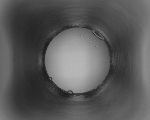 X0000100470403200806271146