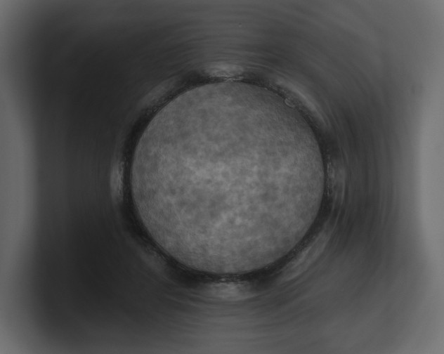 X0000100470404200806271146