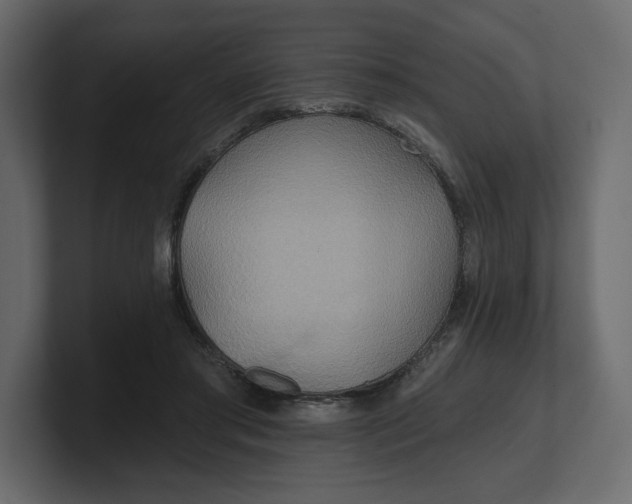 X0000100470405200806271146