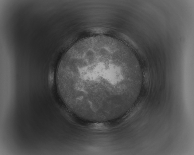 X0000100470406200806271146