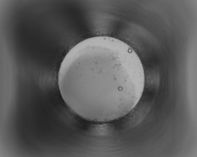 X0000100470411200806271145