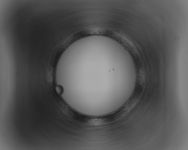 X0000100470413200806271145