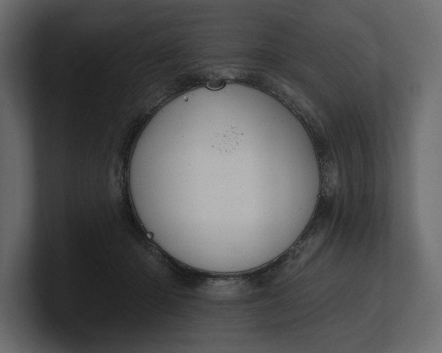 X0000100470414200806271145