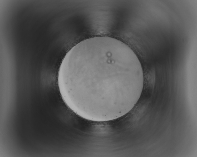 X0000100470415200806271145