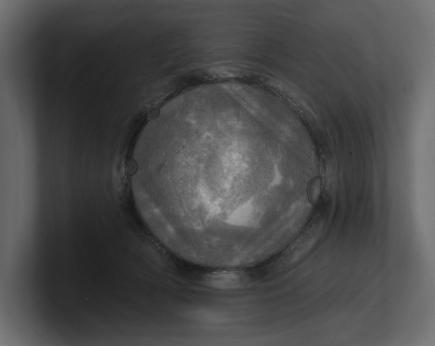 X0000100470418200806271145