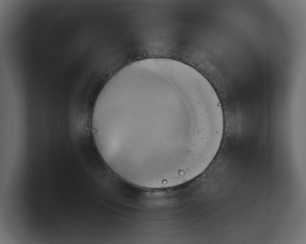 X0000100470419200806271145