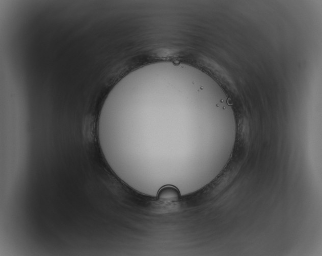 X0000100470421200806271145