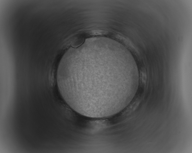 X0000100470422200806271145