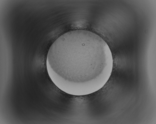 X0000100470423200806271145