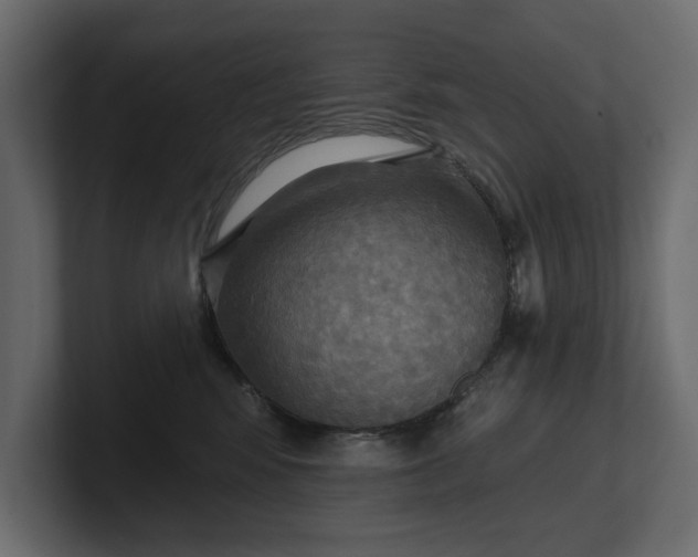 X0000100470424200806271145