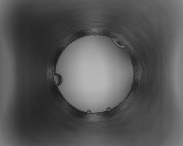 X0000100470425200806271145